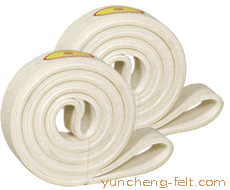 280℃中溫無縫環型輸送帶