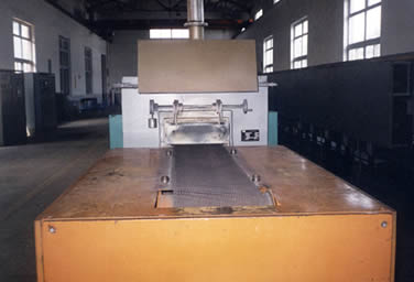 ����(y��ng)��ĩұ����Ʒ�����t