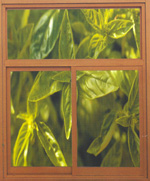 ��Ԫ�߼��������������