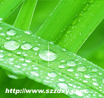 ���_(d��)��һ���X�����������X�a�l�����X�a��