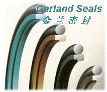 �X�ͲĔD���C(j��)�ܷ�� ˹�ط�STR